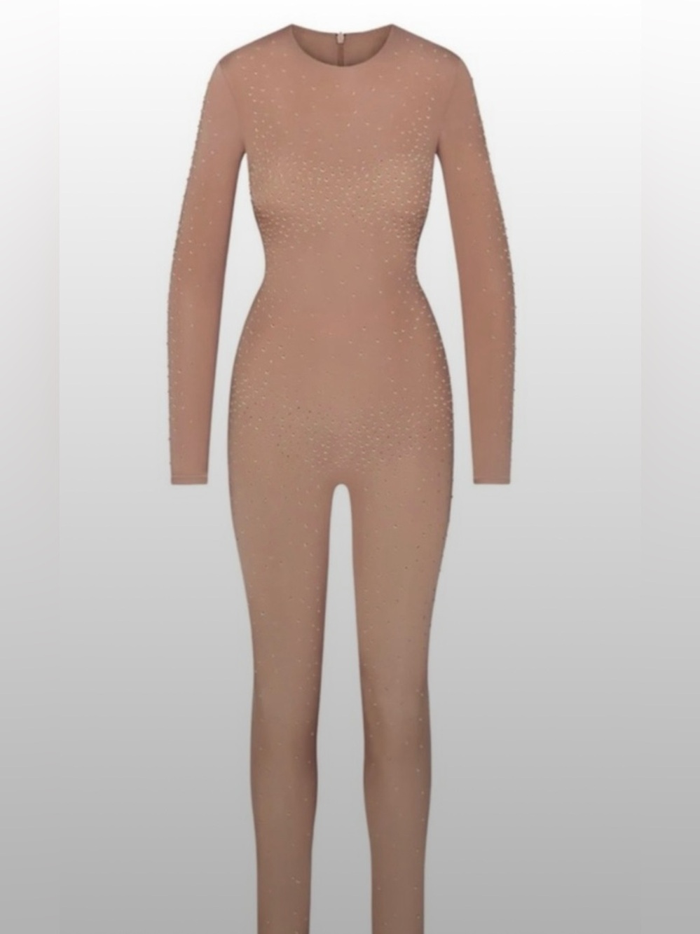 Skims Swarovski Jelly Sheer Intimates Long Sleeve Catsuit